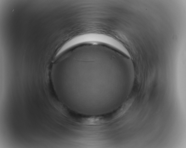 X0000089720366200707051724