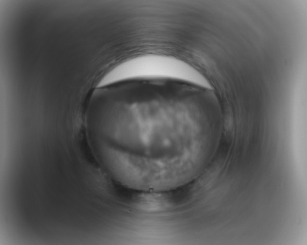 X0000089720367200707051724