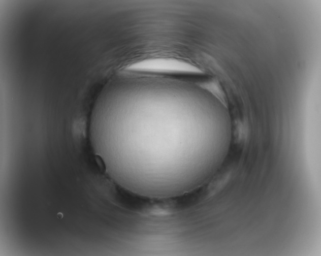 X0000089720368200707051724