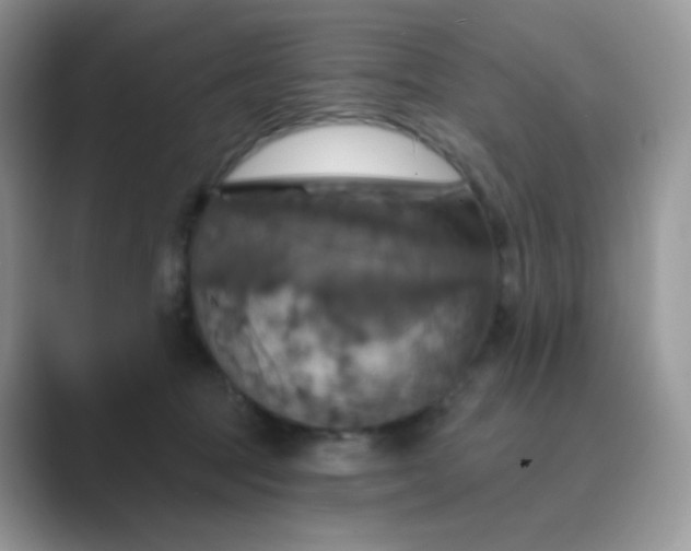 X0000089720369200707051724