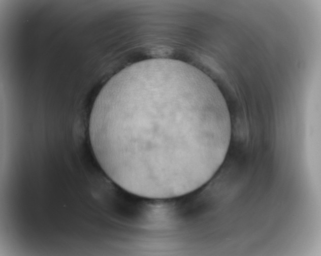X0000089720370200707051724