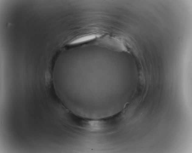 X0000089720371200707051724