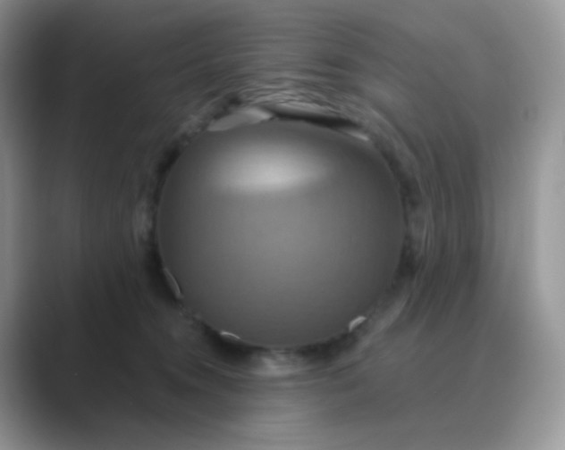 X0000089720372200707051724