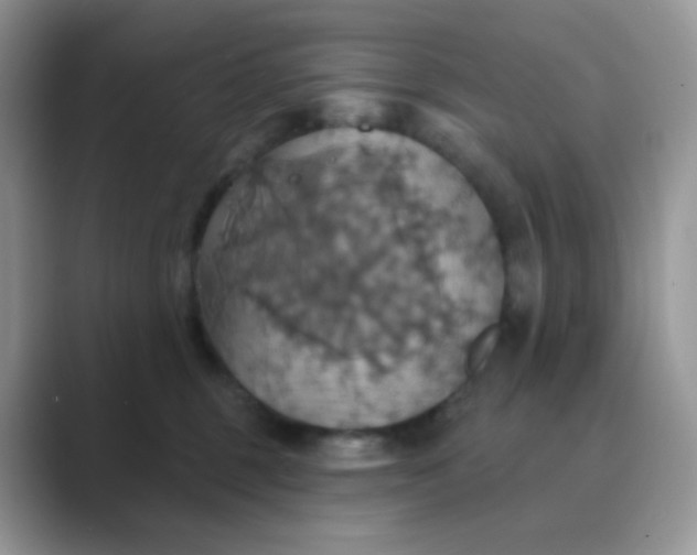X0000089720375200707051724