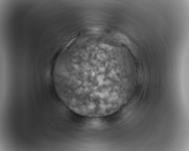 X0000089720377200707051724