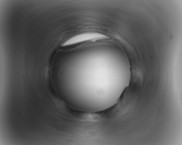 X0000089720379200707051724
