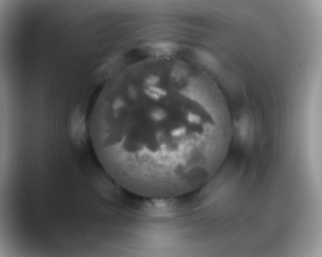 X0000089720381200707051724