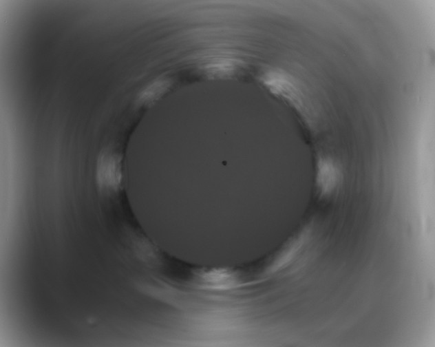 X0000089720383200707051724
