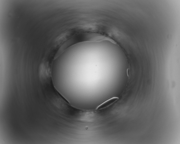 X0000089720384200707051725