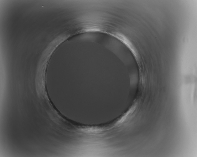 X0000089720385200707051724