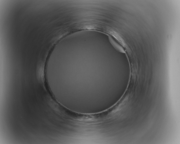 X0000089720386200707051724