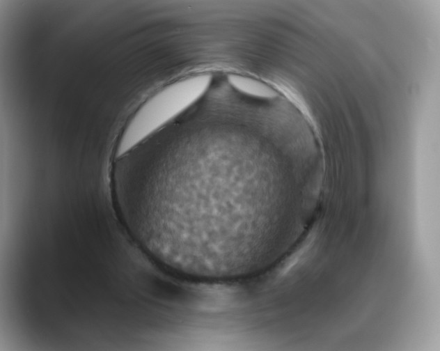 X0000089720389200707051724