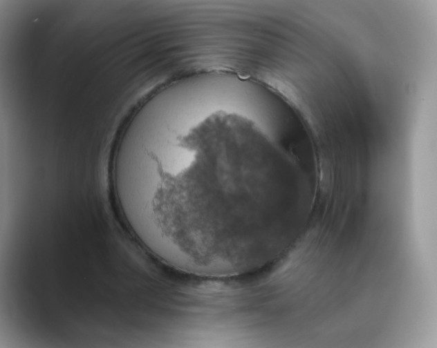 X0000089720390200707051724