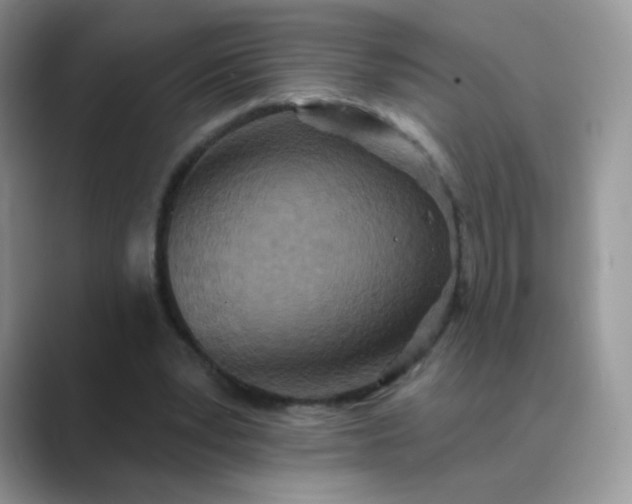 X0000089720391200707051724