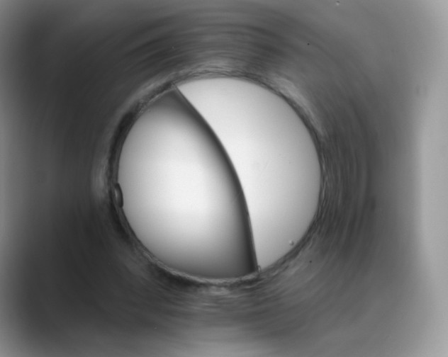 X0000089720392200707051724