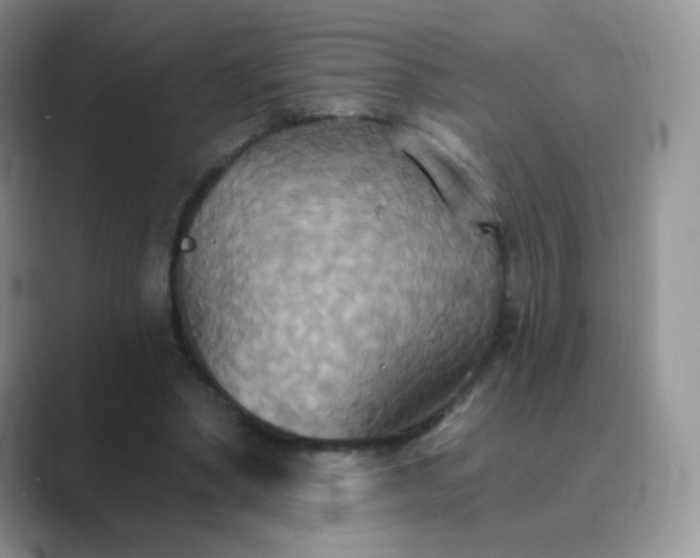 X0000089720394200707051724