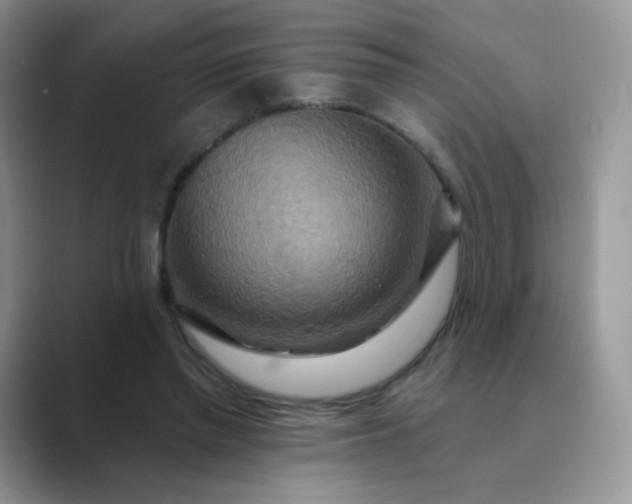 X0000089720397200707051724