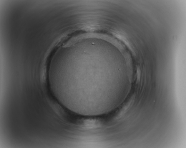X0000089720400200707051724