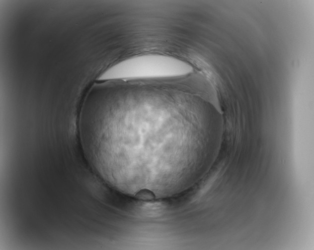 X0000089720401200707051724