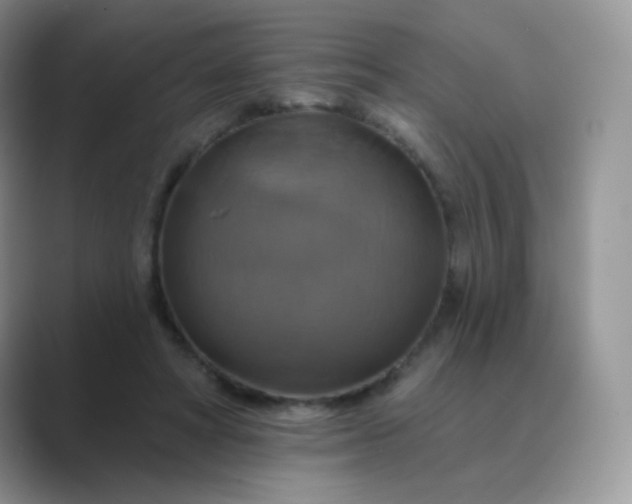 X0000089720402200707051724