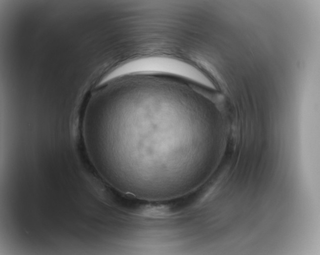 X0000089720403200707051724