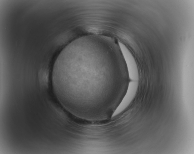X0000089720404200707051724
