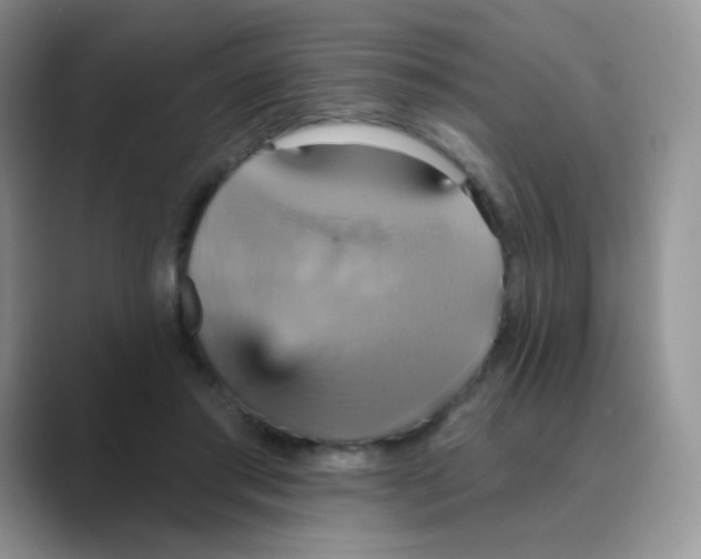 X0000089720405200707051724