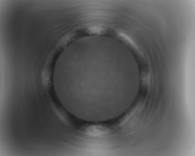X0000089720408200707051724