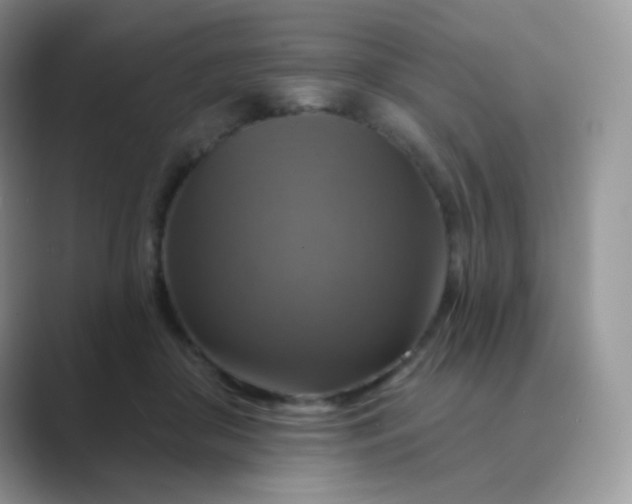 X0000089720410200707051724