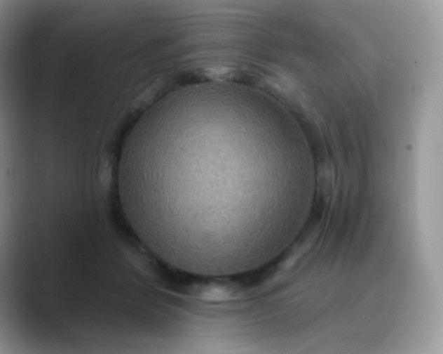 X0000089720412200707051724