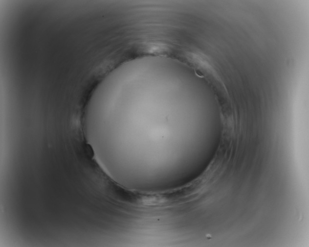 X0000089720415200707051724