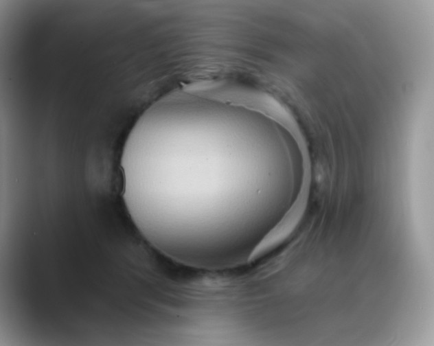 X0000089720416200707051724