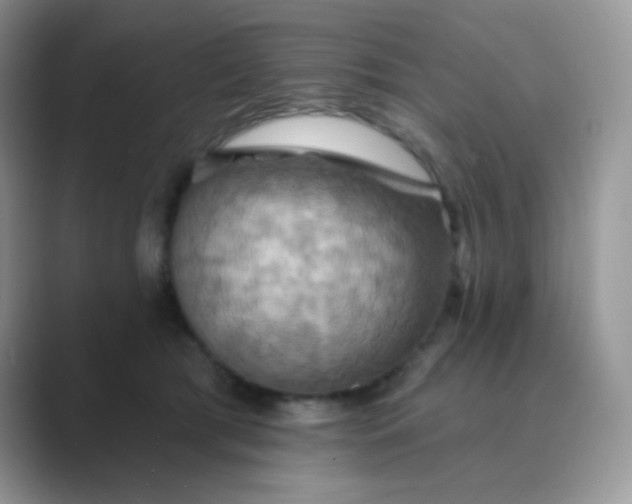 X0000089720417200707051724