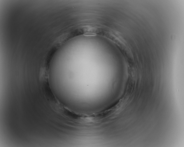 X0000089720419200707051724