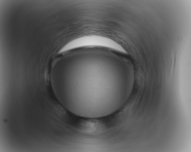 X0000089720420200707051724