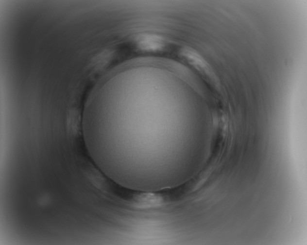 X0000089720421200707051724