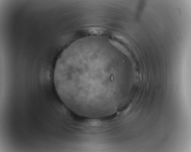 X0000089720424200707051723