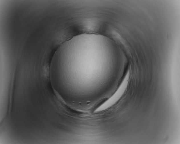 X0000089720425200707051723
