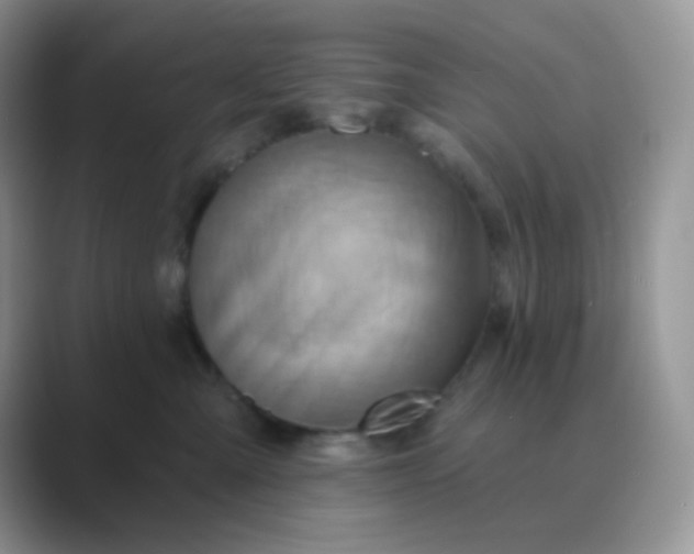 X0000089720427200707051723