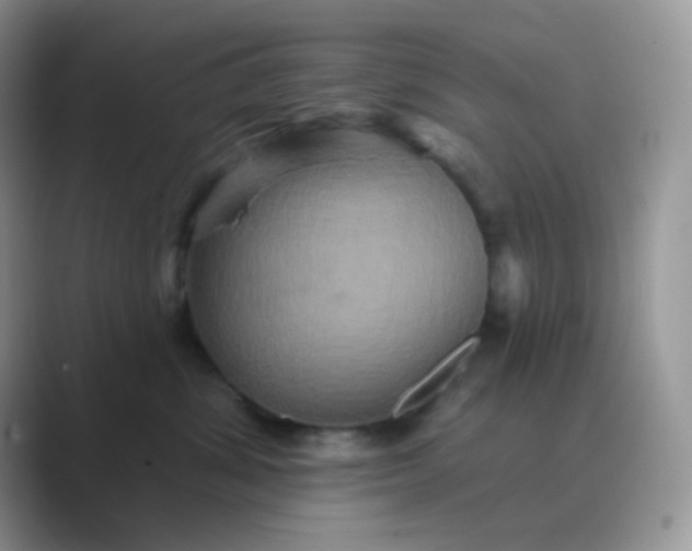 X0000089720428200707051723