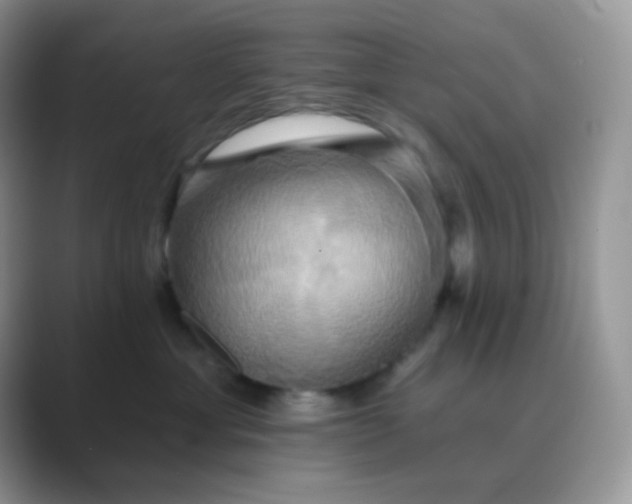 X0000089720429200707051723