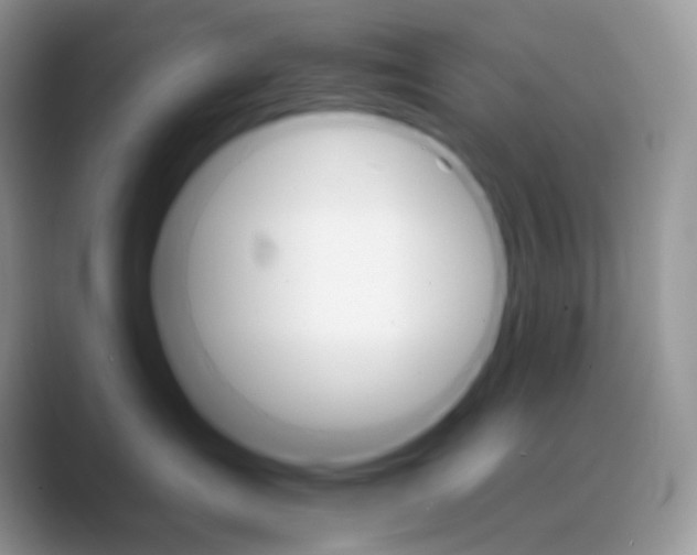 X0000089720431200707051723