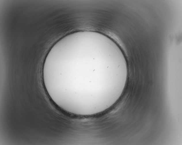 X0000089720433200707051723