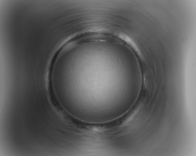 X0000089720436200707051723