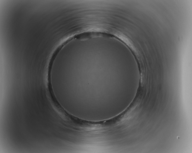 X0000089720438200707051723