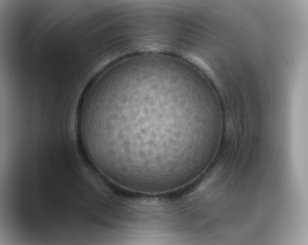X0000089720439200707051723
