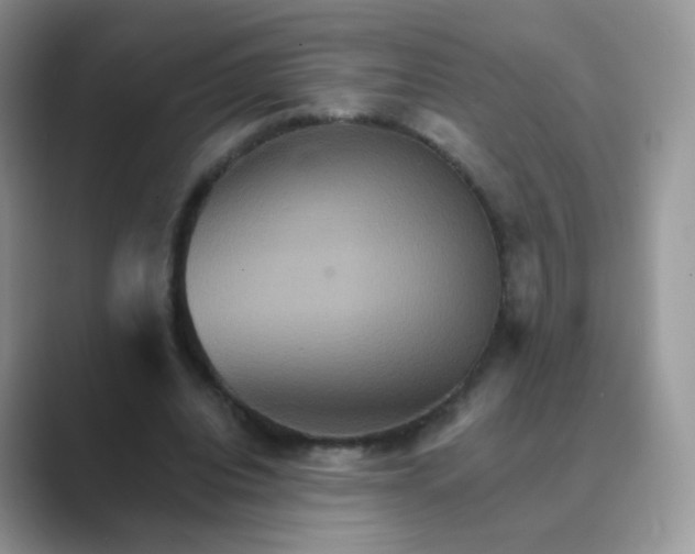 X0000089720440200707051723