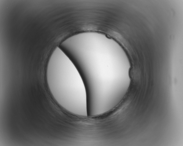 X0000089720441200707051723