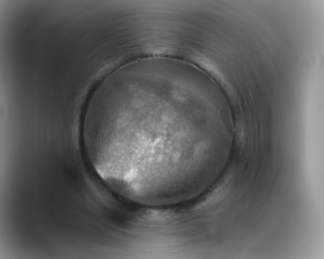 X0000089720442200707051723