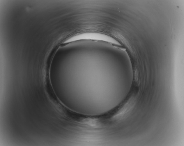 X0000089720444200707051723